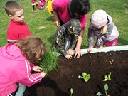 Zahradničíme ve školce